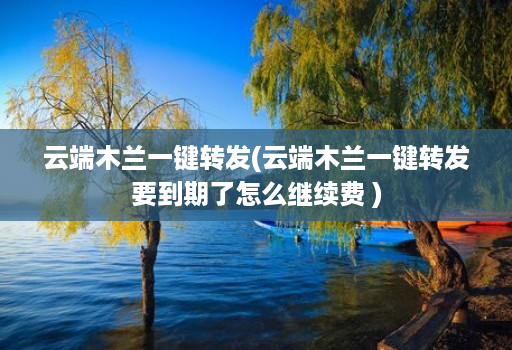 云端木兰一键转发(云端木兰一键转发要到期了怎么继续费 )