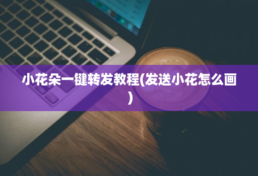 小花朵一键转发教程(发送小花怎么画 )