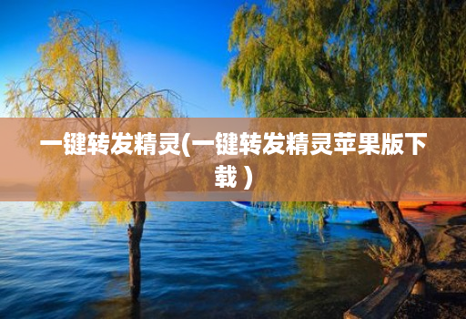 一键转发精灵(一键转发精灵苹果版下载 )