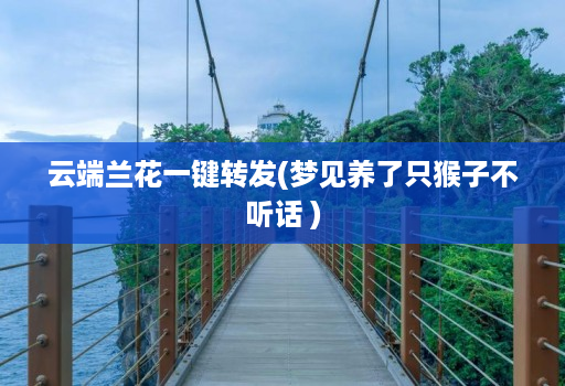 云端兰花一键转发(梦见养了只猴子不听话 )