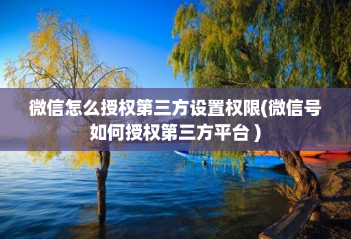 微信怎么授权第三方设置权限(微信号如何授权第三方平台 )