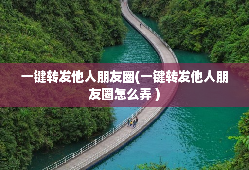一键转发他人朋友圈(一键转发他人朋友圈怎么弄 ) 一键转发他人朋友圈(一键转发他人朋友圈怎么弄 )