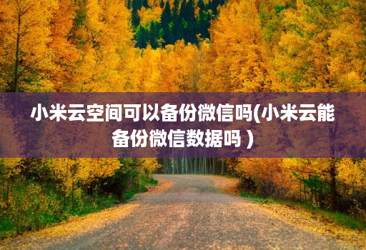 小米云空间可以备份微信吗(小米云能备份微信数据吗 )