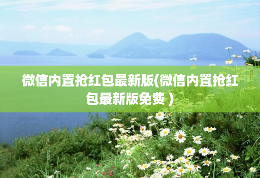 微信内置抢红包最新版(微信内置抢红包最新版免费 )