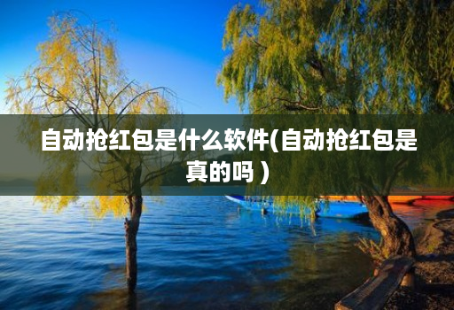 自动抢红包是什么软件(自动抢红包是真的吗 )