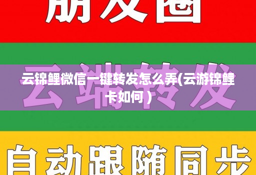 云锦鲤微信一键转发怎么弄(云游锦鲤卡如何 )