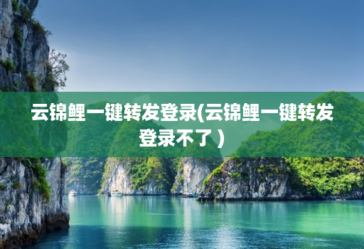 云锦鲤一键转发登录(云锦鲤一键转发登录不了 )