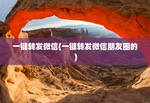 一键转发微信(一键转发微信朋友圈的 )