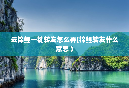 云锦鲤一键转发怎么弄(锦鲤转发什么意思 )