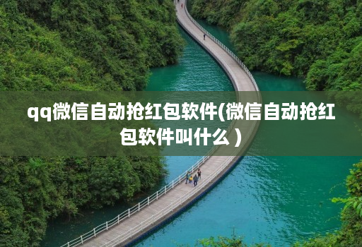 qq微信自动抢红包软件(微信自动抢红包软件叫什么 )