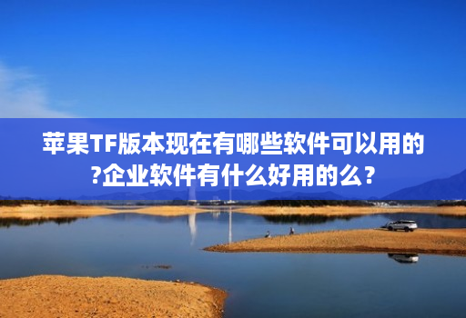 苹果TF版本现在有哪些软件可以用的?企业软件有什么好用的么?