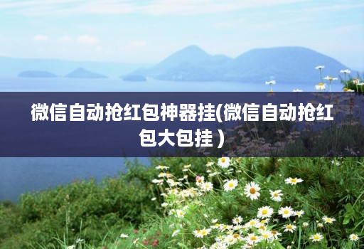 微信自动抢红包神器挂(微信自动抢红包大包挂 )