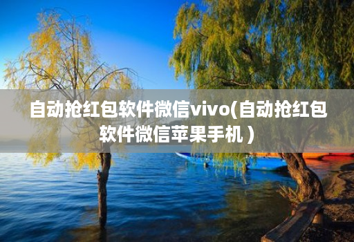 自动抢红包软件微信vivo(自动抢红包软件微信苹果手机 )