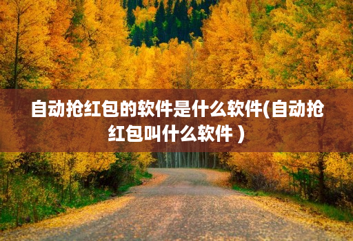 自动抢红包的软件是什么软件(自动抢红包叫什么软件 )