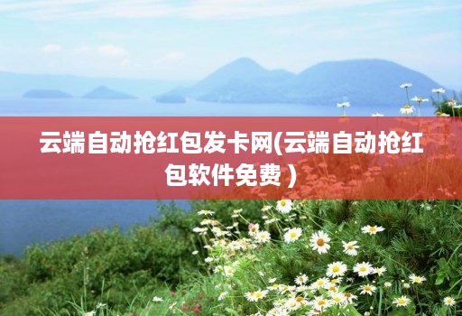 云端自动抢红包发卡网(云端自动抢红包软件免费 )