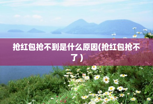 抢红包抢不到是什么原因(抢红包抢不了 )