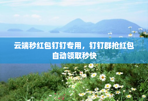 云端秒红包钉钉专用,钉钉群抢红包自动领取秒快