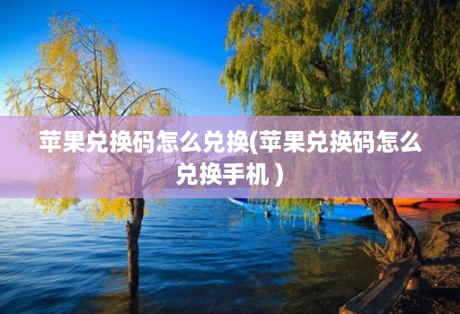 苹果兑换码怎么兑换(苹果兑换码怎么兑换手机 )