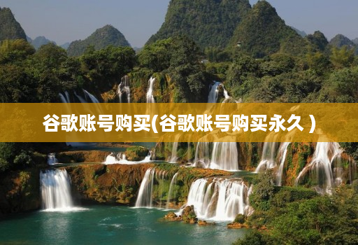 谷歌账号购买(谷歌账号购买永久 )