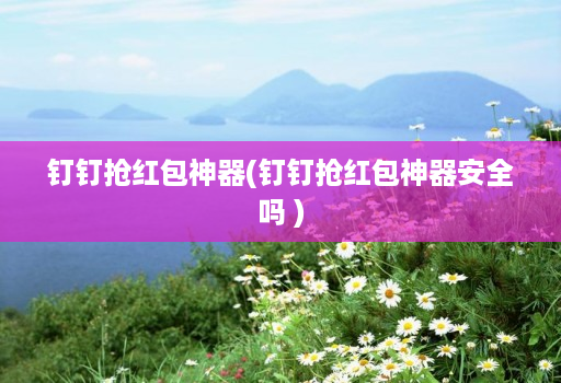 钉钉抢红包神器(钉钉抢红包神器安全吗 )