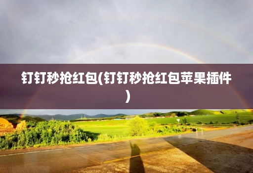 钉钉秒抢红包(钉钉秒抢红包苹果插件 )