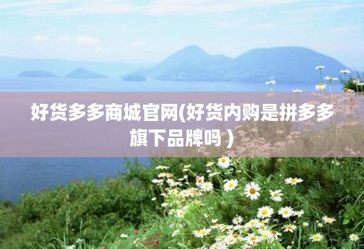 好货多多商城官网(好货内购是拼多多旗下品牌吗 )