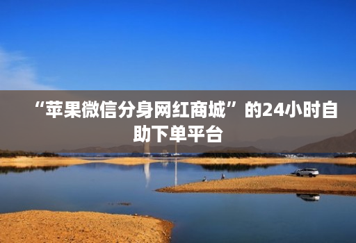 “苹果微信分身网红商城”的24小时自助下单平台