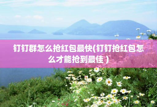 钉钉群怎么抢红包最快(钉钉抢红包怎么才能抢到最佳 )