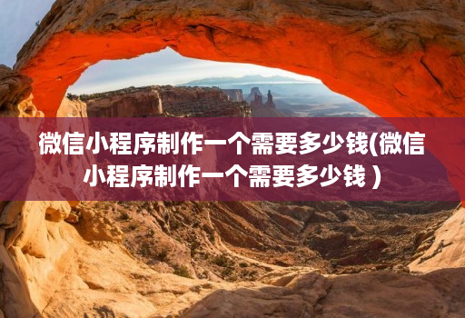 微信小程序制作一个需要多少钱(微信小程序制作一个需要多少钱 )