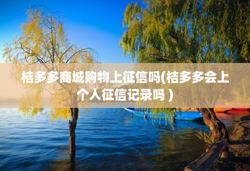 桔多多商城购物上征信吗(桔多多会上个人征信记录吗 )