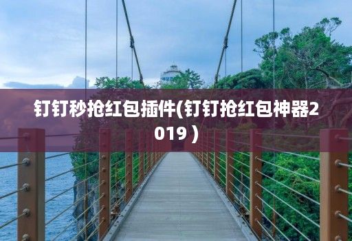 钉钉秒抢红包插件(钉钉抢红包神器2019 )