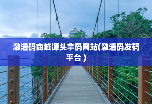 激活码商城源头拿码网站(激活码发码平台 )