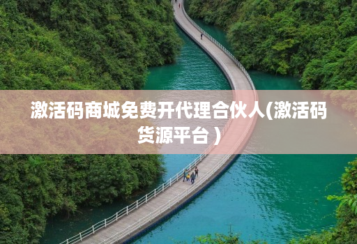 激活码商城免费开代理合伙人(激活码货源平台 )