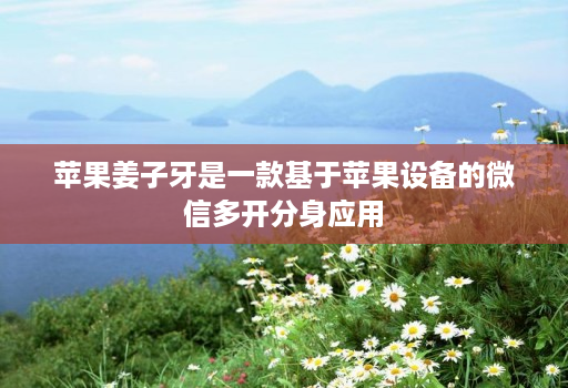 苹果姜子牙是一款基于苹果设备的微信多开分身应用