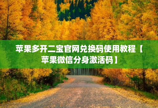苹果多开二宝官网兑换码使用教程【苹果微信分身激活码】