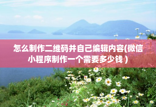 怎么制作二维码并自己编辑内容(微信小程序制作一个需要多少钱 )