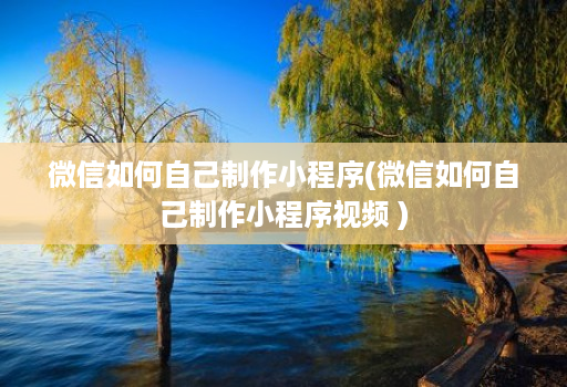 微信如何自己制作小程序(微信如何自己制作小程序视频 )