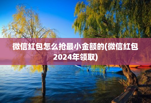 微信红包怎么抢最小金额的(微信红包2024年领取)
