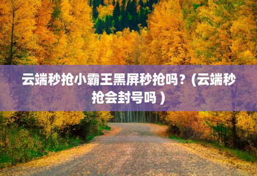 云端秒抢小霸王黑屏秒抢吗?(云端秒抢会封号吗 )