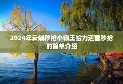 2024年云端秒抢小霸王给力运营秒抢的简单介绍
