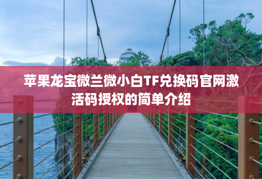 苹果龙宝微兰微小白TF兑换码官网激活码授权的简单介绍