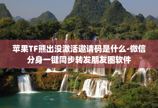 苹果TF熊出没激活邀请码是什么-微信分身一键同步转发朋友圈软件