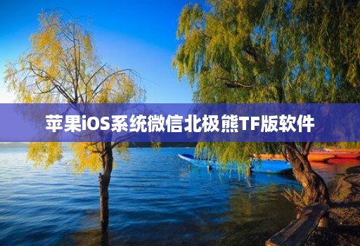 苹果iOS系统微信北极熊TF版软件