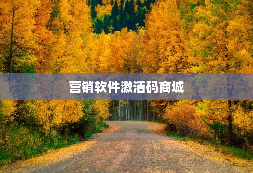 营销软件激活码商城