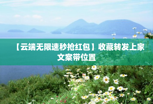 【云端无限速秒抢红包】收藏转发上家文案带位置