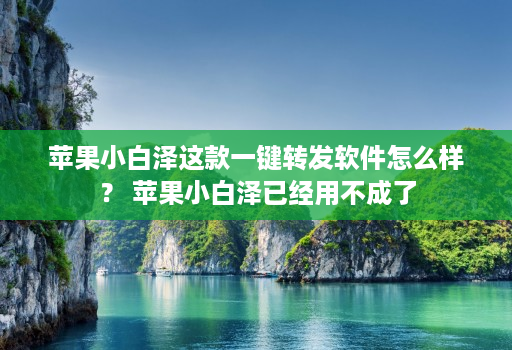 苹果小白泽这款一键转发软件怎么样? 苹果小白泽已经用不成了
