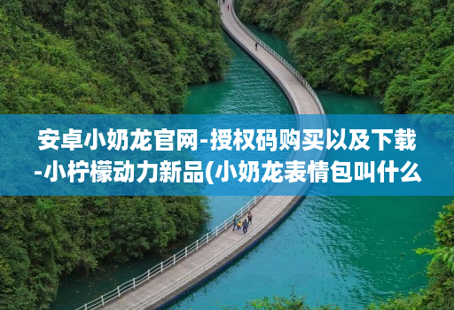 安卓小奶龙官网-授权码购买以及下载-小柠檬动力新品(小奶龙表情包叫什么名字 )