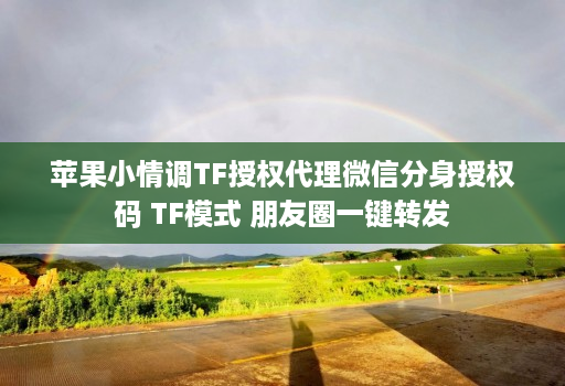 苹果小情调TF授权代理微信分身授权码 TF模式 朋友圈一键转发