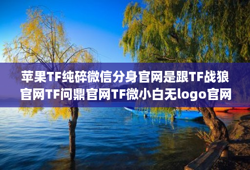 苹果TF纯碎微信分身官网是跟TF战狼官网TF问鼎官网TF微小白无logo官网龙宝同一款高端配置