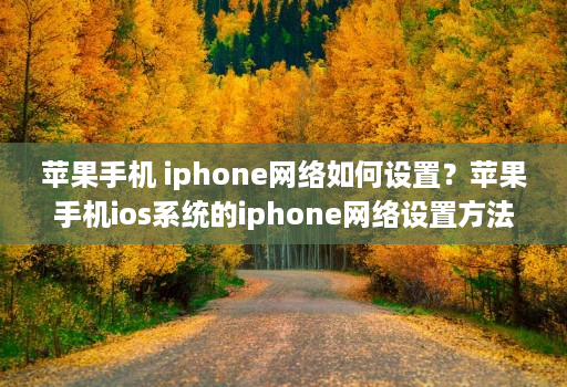 苹果手机 iphone网络如何设置?苹果手机ios系统的iphone网络设置方法【图文教程】 苹果手机 iphone网络如何设置?苹果手机ios系统的iphone网络设置方法【图文教程】